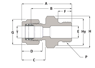 SSP DUOLOK-MALE-CONNECTOR Duolok 316 SS Male Connector 1/4" Tube x 1/2" ISO Parallel