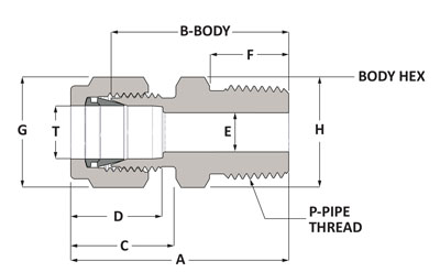 SSP Duolok Metric Brass Male Connector 12mm Tube x 3/4in. NPT